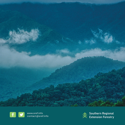 Multi-Year Report Cover