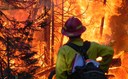 NC Extension Agents Attend Timely Workshop on Wildland Fire