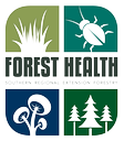New Online Resource Connects Extension to Forest Health in the Southeast