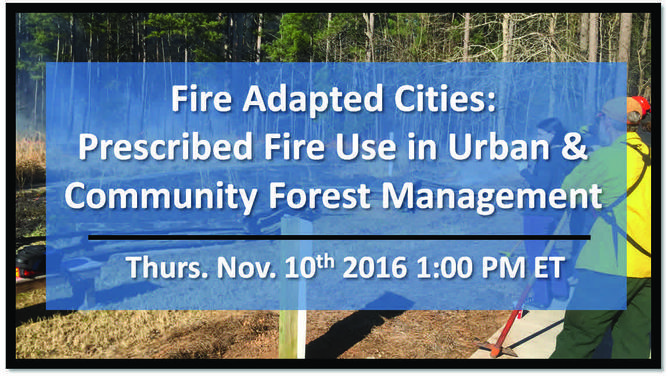 November 10 Webinar on Prescribed Fire Use in Urban & Community Forest Management