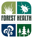 SREF/UGA Warnell Extension Forest Health Program Collaborates on Training Workshops for Professionals in 3 States