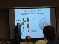 Dave Coyle lectures 3