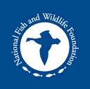 The National Fish and Wildlife Foundation Establishes Longleaf Stewardship Fund