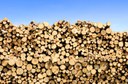 Timber Tax Resources Available