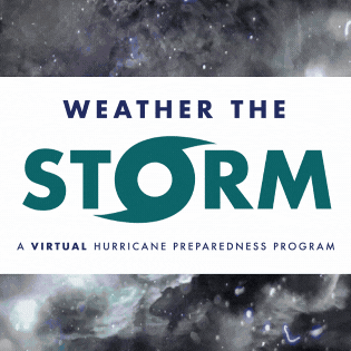 Weather the Storm