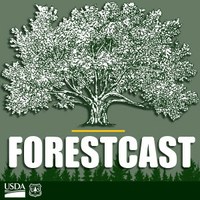 ForestCast