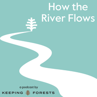 How The River Flows, by Keeping Forests